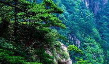 黄山游记_1000字