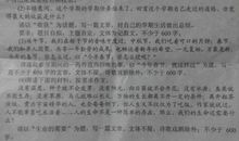 洗碗_250字