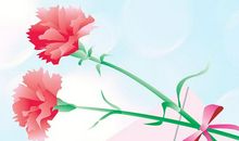 平凡的母爱_650字