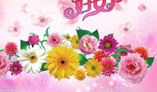 妇女节的作文：三八节的美好早晨_650字