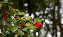 [PK赛]关于温暖的作文：别样的温暖_1200字