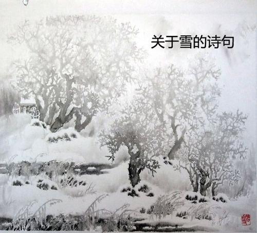 描写大雪的诗