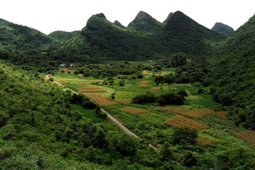 风景名胜段：风景名胜段_700字