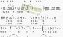 雪，我怀恋_900字