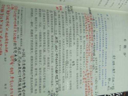 美丽风景段：美丽遭遇段_1200字