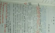 景色优美段落：美好的相遇段落_1200字