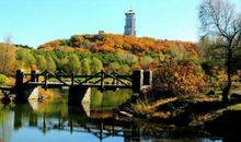 欣赏身边的美景_800字