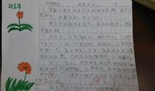 三年级期末考试作文：多肉观察日记（四）_450字