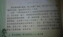 关于外婆的作文：外婆的衣摊_1500字