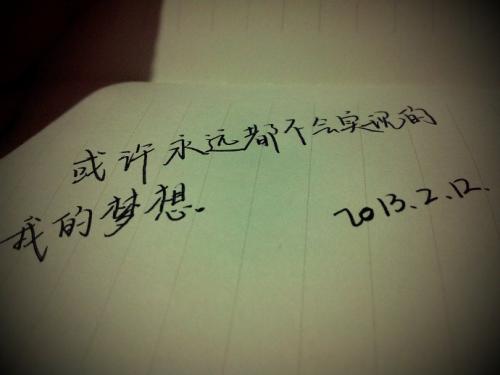冒险，我的梦想_550字