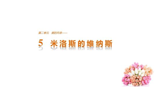 美的真相_1000字