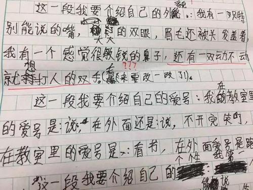 关于同学的作文：class_750个单词中的“大个子”