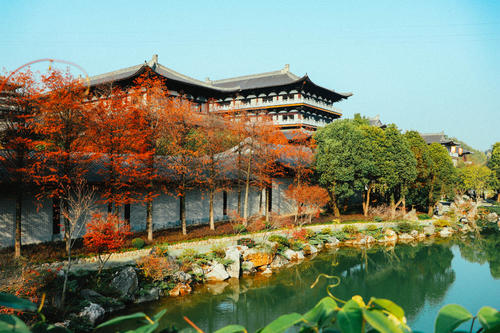 尘埃未落，刻有刻痕_1500字