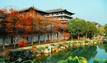 尘埃未落，时光镌刻_1500字