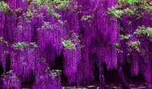 莫让流行遮望眼_750字