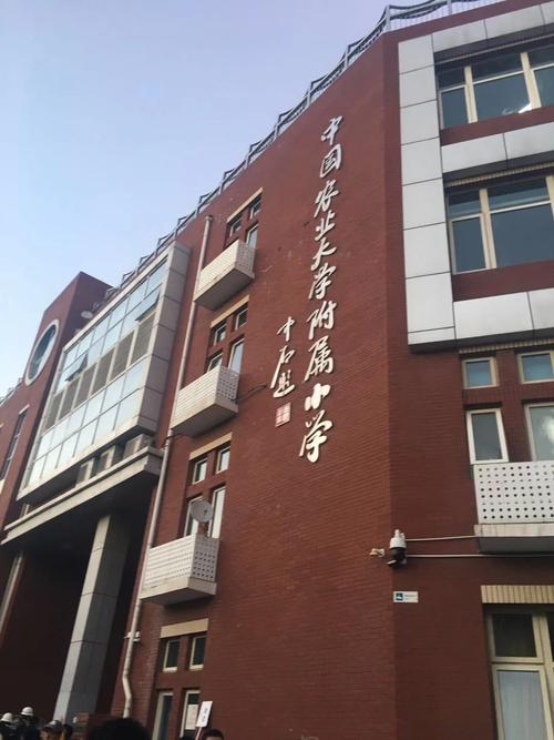 品味节奏_1000字