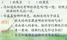 三年级期末考试作文：秋天的雨_450字