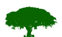 珍惜自然资源 共营生命绿色_1500字