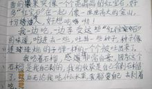 初一日记作文：不寻常的一天_800字