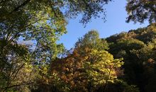 偶尔停一下真好_750字