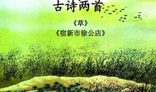 《宿新市徐公店》鉴赏