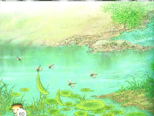 欣赏“小池”