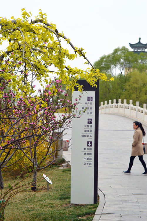春季新发现_450字