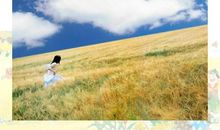 [PK赛]关于秋游的作文：秋游平泉_550字