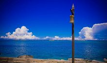 大海的世界_500字