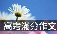 学习贵在创新_600字