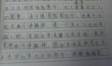 小鸟_50字