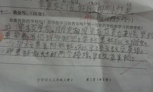 关于我自己的作文：取名“ self” _1500字