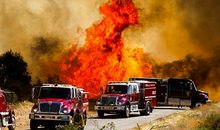 郑雪兰：情注孤残老人17年_1000字