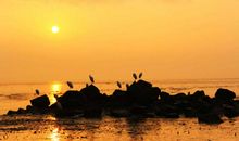 享受阳光_1500字