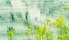 家乡小雨之美_500字