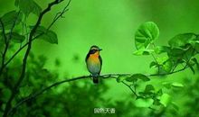 阳光，如影随形_1200字