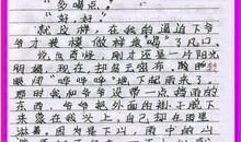 关于外公的作文：我的外公_800字