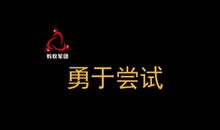 勇于尝试_1000字