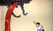 一棵树的故事_650字