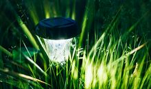 太阳的背后不是光_800字