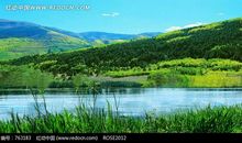 我家在大山旁_50字