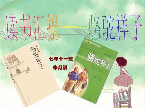 我读了一本好书《骆驼相子》 _700字