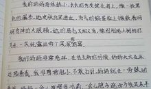 初一叙事作文：妈妈_1200字