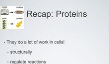 五年级英语作文：A Book About Animals And Plants_400字