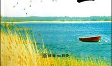 《感悟人生》_1000字