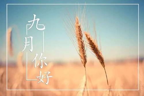 [9月远程发布]未来·您好_550字