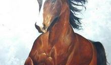 马的故事_1200字