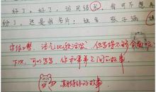 关于雪的作文：江城的雪_800字