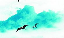 五年级散文：假如我是一只小鸟_700字