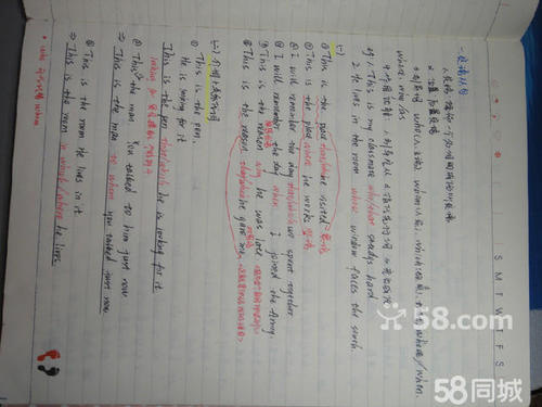Essay_300字